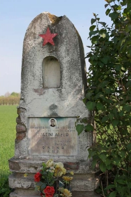 Alfeo Saltini
